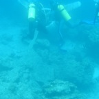 Scuvol Bodrum Tauchen 2012 - 07