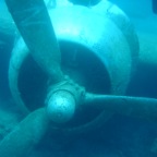 Scuvol Bodrum Tauchen 2012 - 09