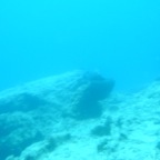 Scuvol Bodrum Tauchen 2012 - 13