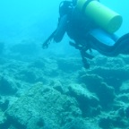 Scuvol Bodrum Tauchen 2012 - 15