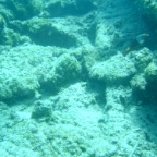 Scuvol Bodrum Tauchen 2012 - 18