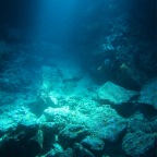 Scuvol Bodrum Tauchen 2012 - 27