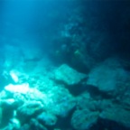 Scuvol Bodrum Tauchen 2012 - 28