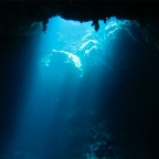 Scuvol Bodrum Tauchen 2012 - 29