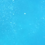 Scuvol Bodrum Tauchen 2012 - 33