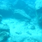 Scuvol Bodrum Tauchen 2012 - 35