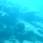 Scuvol Bodrum Tauchen 2012 - 38