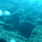 Scuvol Bodrum Tauchen 2012 - 40