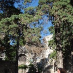 Scuvol - Bodrum 2009  - 037