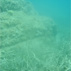 Scuvol Didim Tauchen 2012 - 05