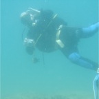 Scuvol Didim Tauchen 2012 - 24